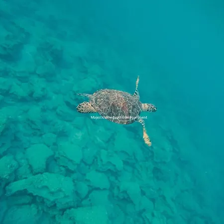 Magesticview Seafront Διαμέρισμα