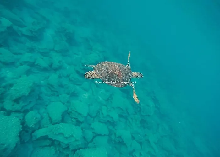 Magesticview Seafront Apartamento